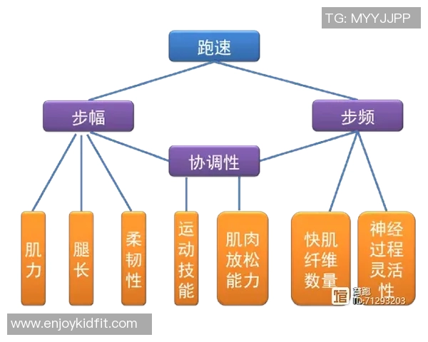 北京篮球队耐力对比深度分析揭示球队潜力与挑战