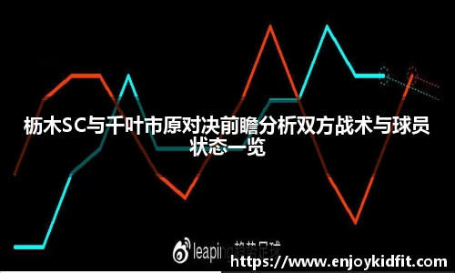 枥木SC与千叶市原对决前瞻分析双方战术与球员状态一览