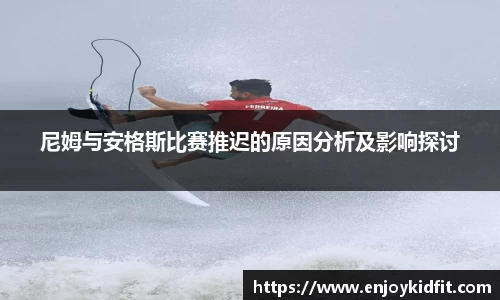 尼姆与安格斯比赛推迟的原因分析及影响探讨